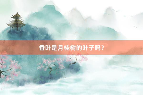 香叶是月桂树的叶子吗？