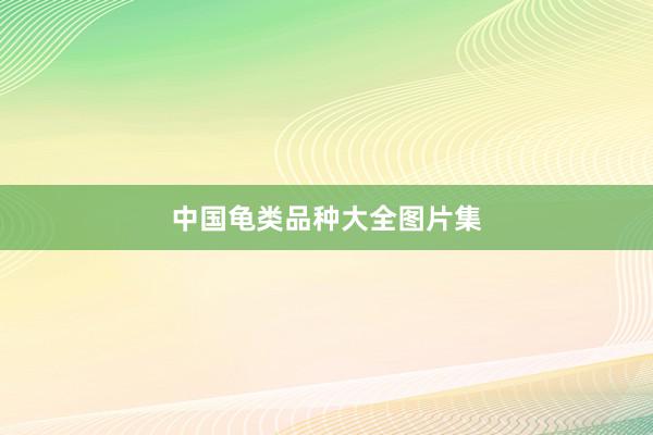 中国龟类品种大全图片集